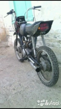 Zebr