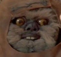 medobelk