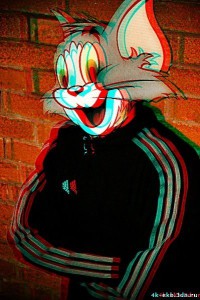 MaxFess