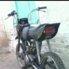 Zebr