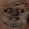 medobelk