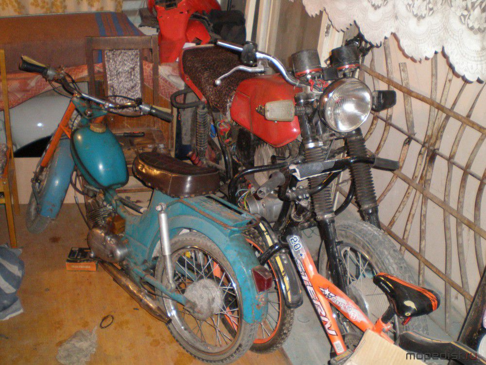 PA109975.JPG