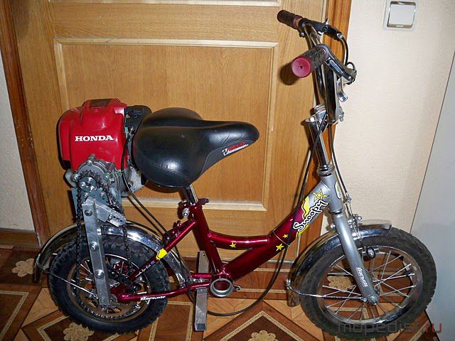 100_0275.JPG