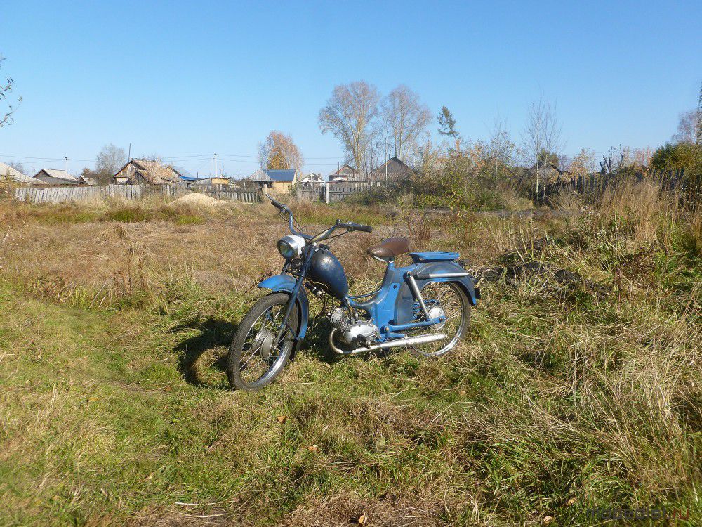 P1010777.JPG