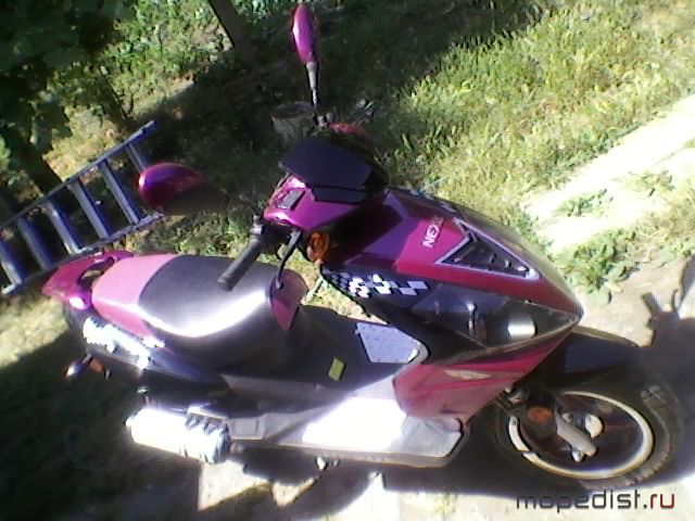 SP_A0338.jpg