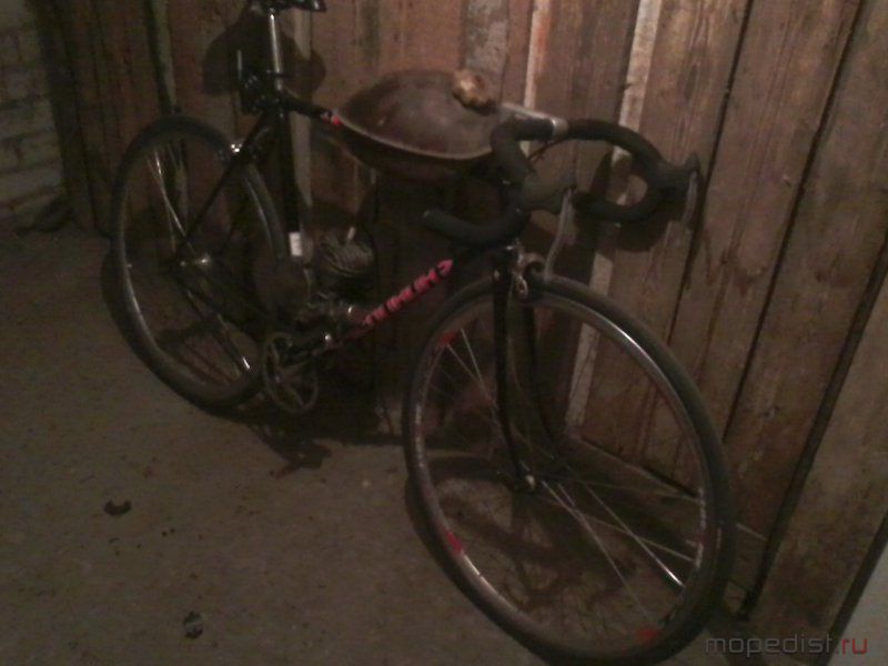 IMG0056.jpg