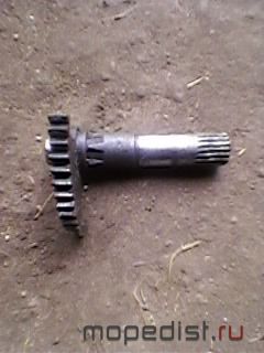 SP_A0245.jpg