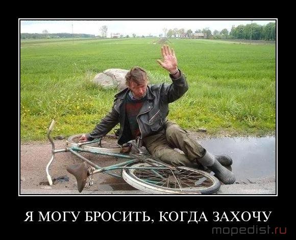 1302892129_c5xo90owl9be.jpg