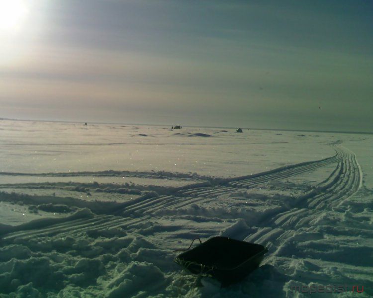 1403_1053.jpg