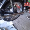 IMAG0239.jpg