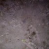 19032014986.jpg