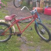 IMAG0049.jpg