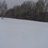 DSC06129.JPG