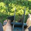 IMG_20170818_173433.jpg