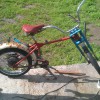 IMAG0054.jpg