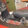 IMG_1611.JPG