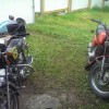 IMAG0054.jpg