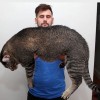 Просто Кот. )))