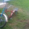 IMAG0044.jpg