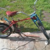 IMAG0055.jpg