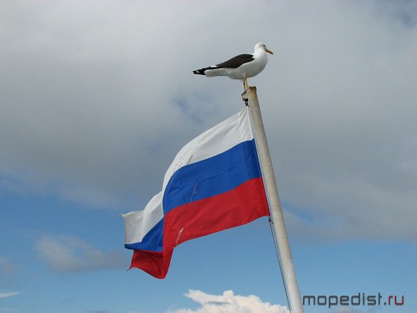 "Соловецкие