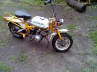 kallin