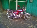 Wolf19
