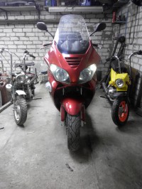 Smarodina