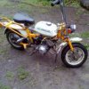 kallin