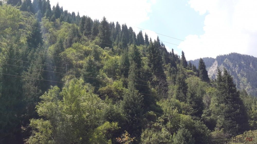 20160710_114453.jpg