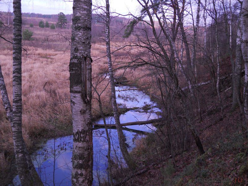 DSCN1556.JPG