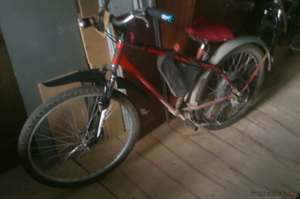 IMAG0236.jpg