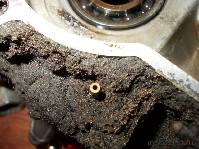 DSCN3844 [640x480].JPG