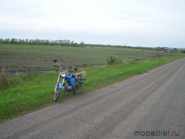 IMGP0809.JPG