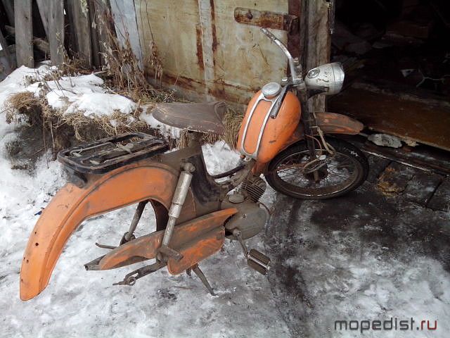 image (1).jpg