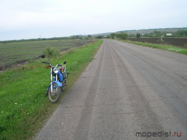 IMGP0810.JPG