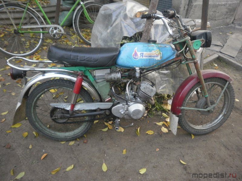 PA230261.JPG