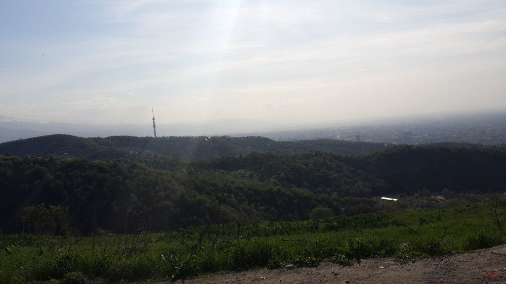 20200424_170216.jpg