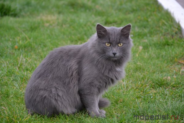 DSC_0675.JPG