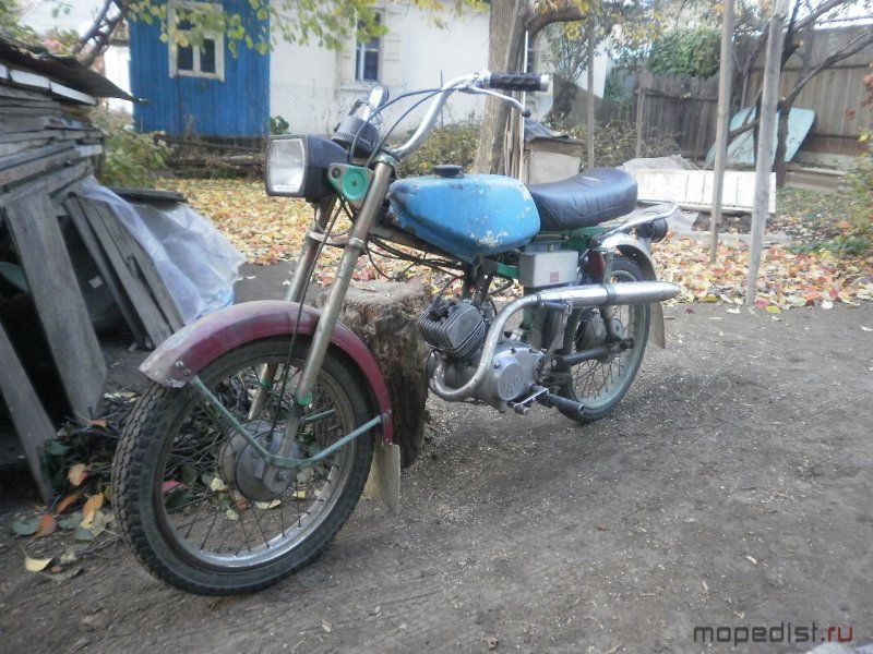 PA230259.JPG