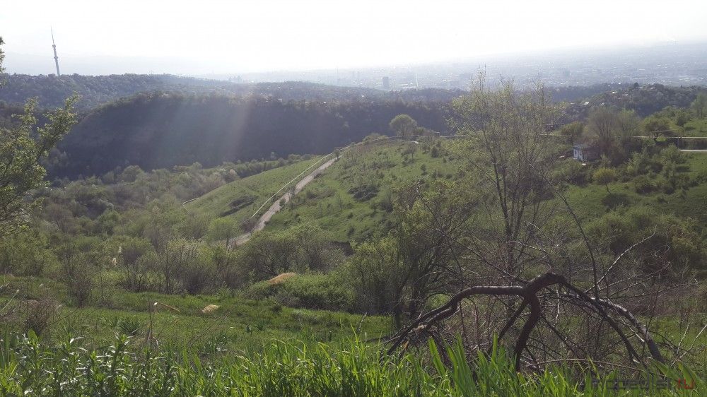 20200424_170817.jpg