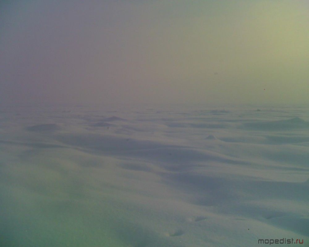 Ладога сегодня 21.01.16