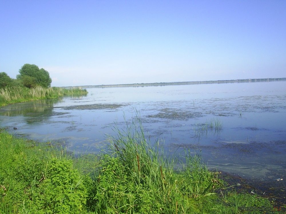 PIC_0003.JPG