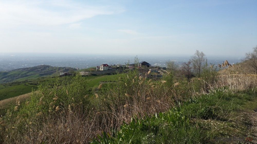 20200424_170425.jpg