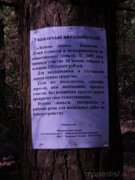 DSCN1387.JPG