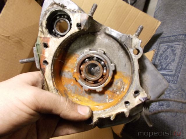 DSCN3757 [640x480].JPG