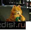 14044729.gif