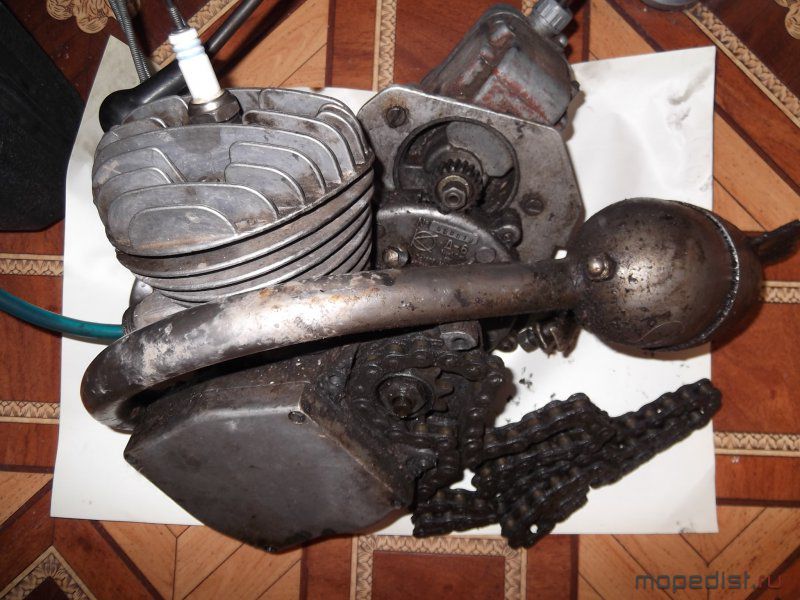DSCF0795.jpg