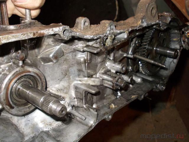 DSCN3843 [640x480].JPG