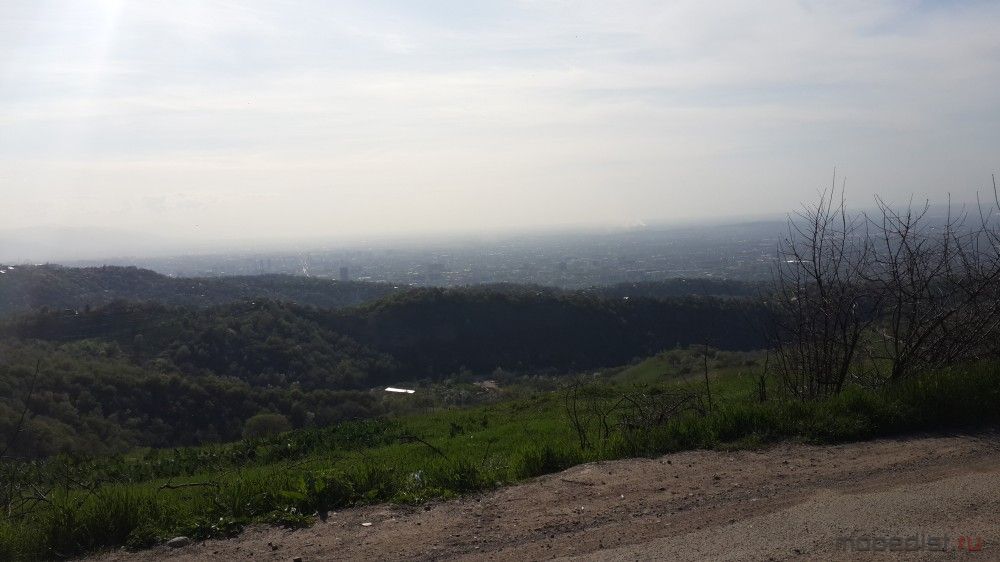 20200424_170213.jpg